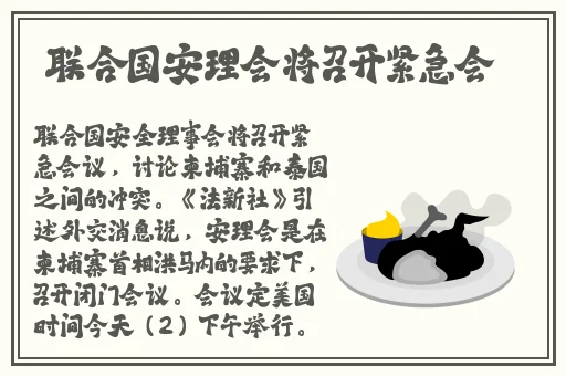 正在播放chinese中国人